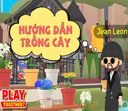 cach-trong-cay-trong-play-together.jpg