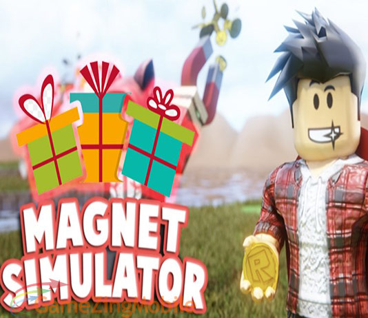 code-magnet-simulator