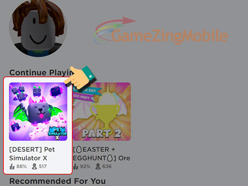 code-pet-simulator-x-06