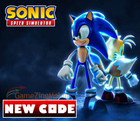 code-sonic-speed-simulator