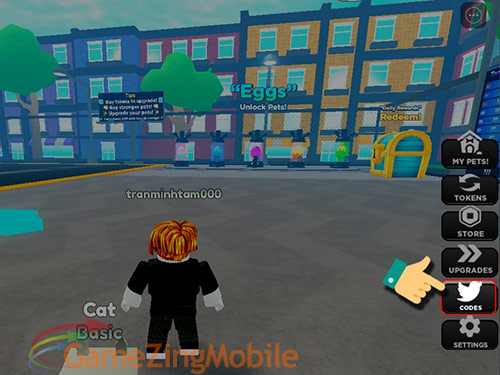 code-strong-pet-simulator-02