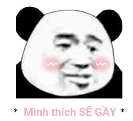 se-gay-la-gi-04
