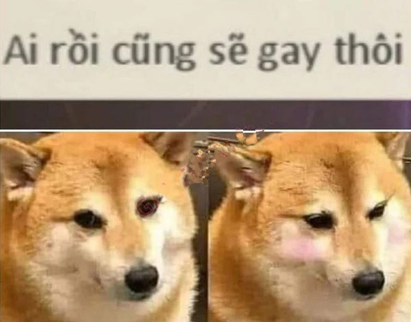 se-gay-la-gi-06