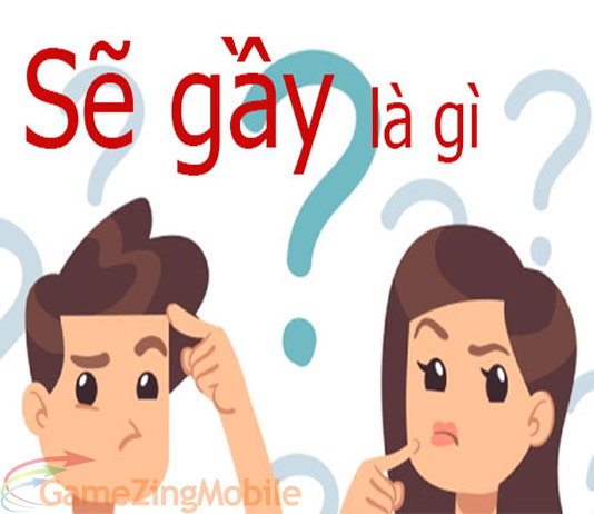 se-gay-la-gi