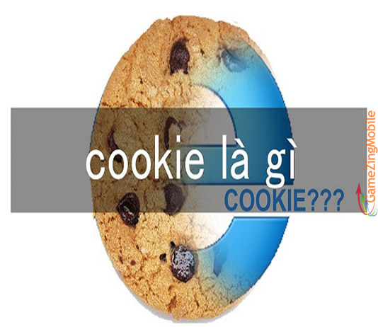 Cookie-la-gi