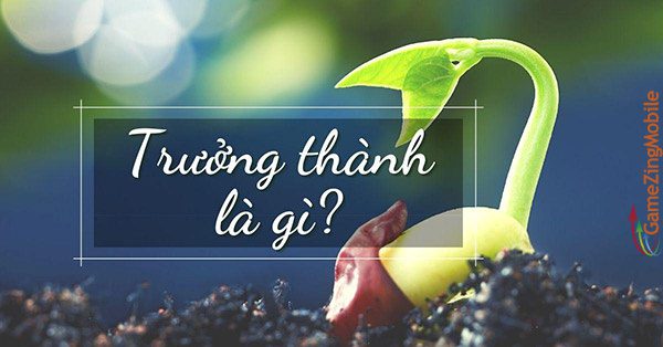 Truong-thanh-la-gi