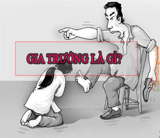 gia-truong-la-gi