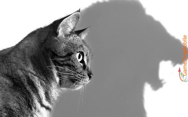 long-tu-trong-la-gi-05