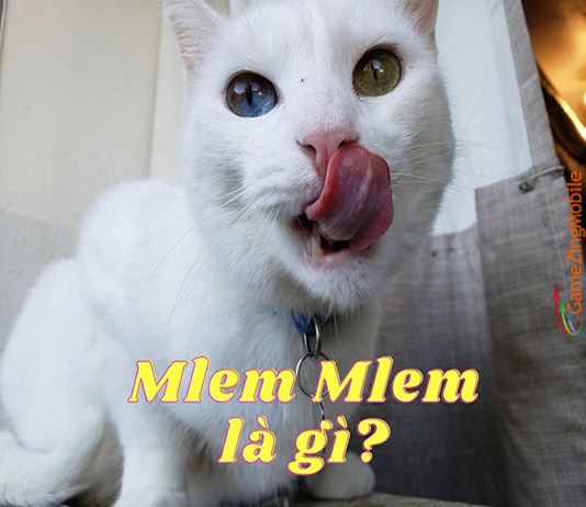 mlem-mlem-la-gi