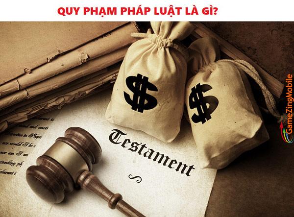 phap-luat-la-gi-04