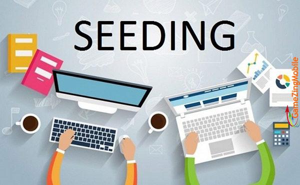 seeding-la-gi-04