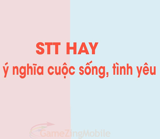 stt-hay