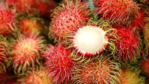 chom-chom-bao-nhieu-calo-01