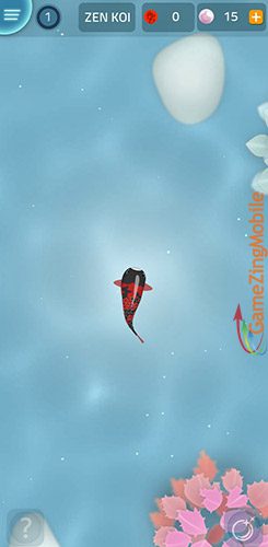 zen-koi-01