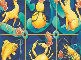 Mẹo chơi Bầu Cua từ các cao thủ tại HB88