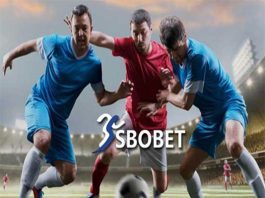SBObet có uy tín không? Sự thật về nhà cái này SBObet có uy tín không