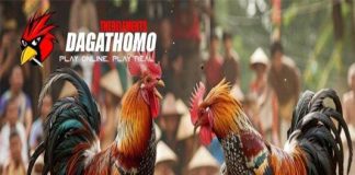 Sảnh Đá Gà Thomo